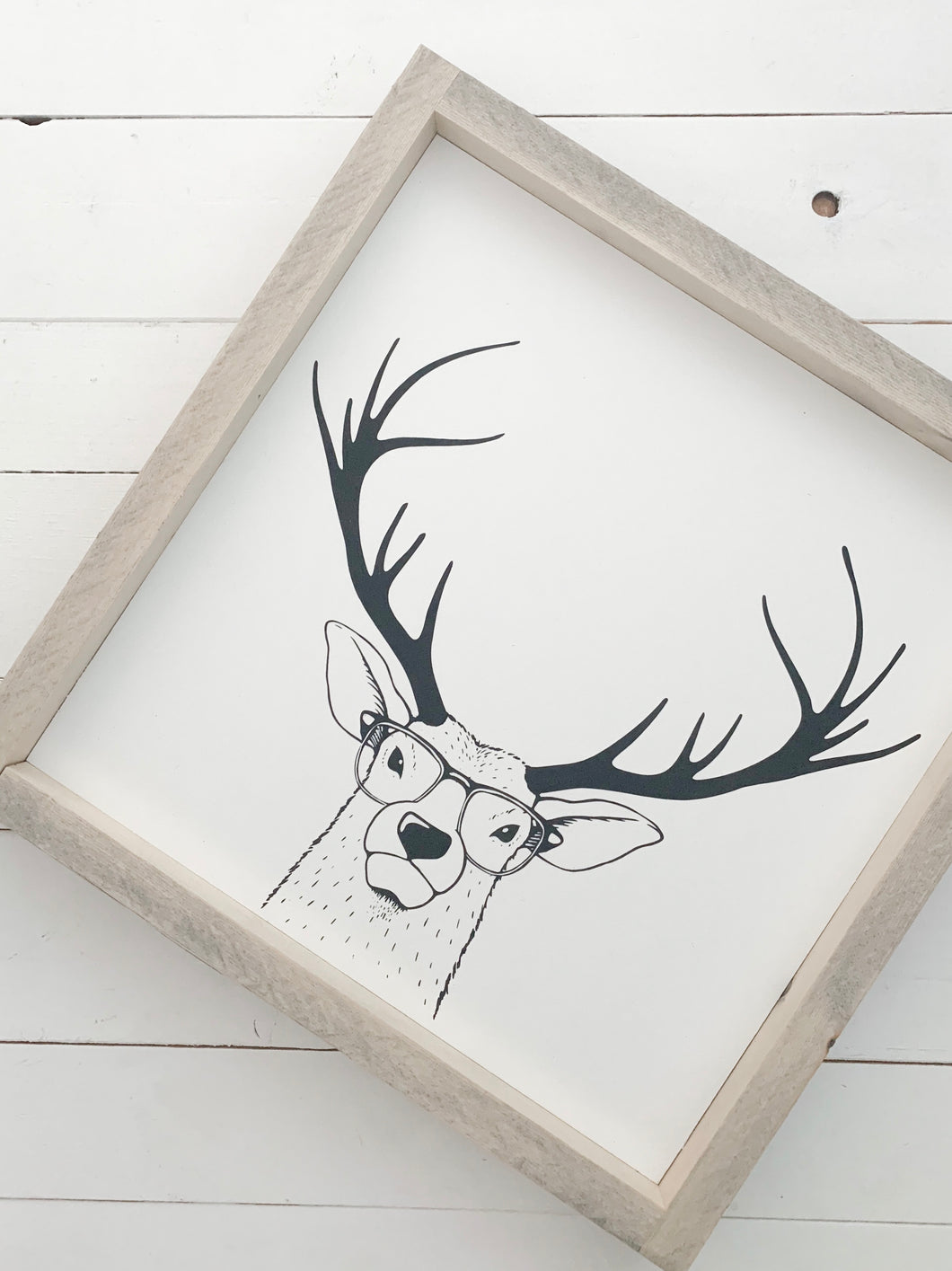 Deer with glasses